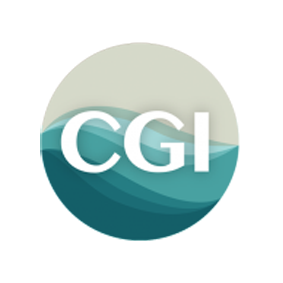 Citadel Global Investments