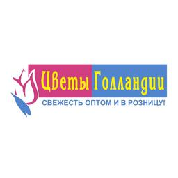 Цветы Голландии