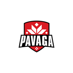 Павага Гейминг