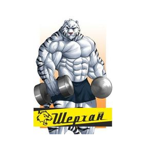 Спортивный клуб Шерхан Gym