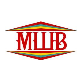 Школа скорочтения Васильевой Л.Л.