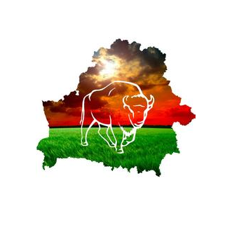 Медиа Новости