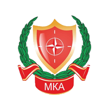 Международное Юридическое Агентство