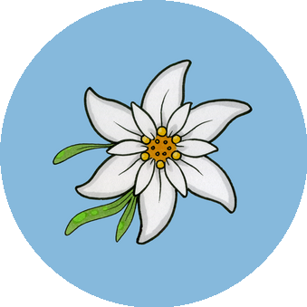 Клиника современной стоматологии Эдельвейс