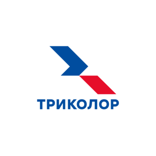 Спутниковые телесистемы