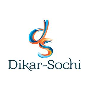 Ефименко Д.А.