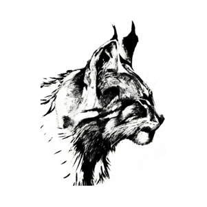 Линкс-Ап