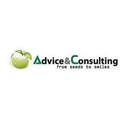 Эдвайс Энд Консалтинг