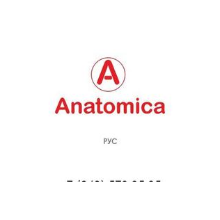 Анатомика