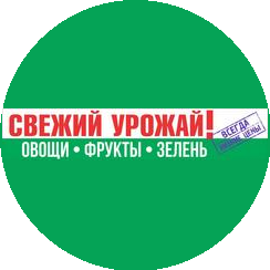 Набиуллин Ринат Раисович