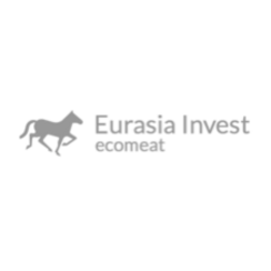 Евразия-инвест