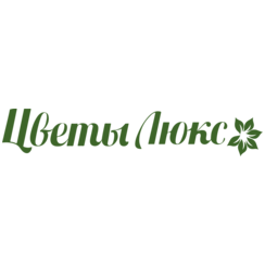 Асадуллин А.Ю.