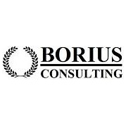 Бориус Консалтинг