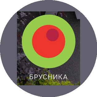 Крупчатников Алексей Сергеевич