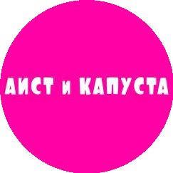 Сеть магазинов детских игрушек Аист и Капуста