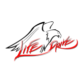 ЛАЙФ ИН ДРАЙВ
