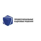 Профессиональные Кадровые Решения