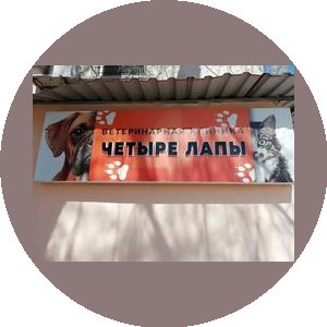 Ветеринарная клиника Четыре Лапы