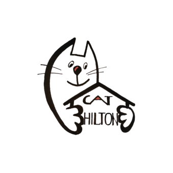 Толстихина Наталья Сергеевна