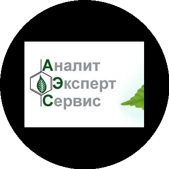 АналитЭкспертСервис