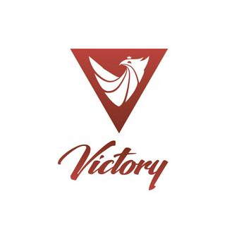 Спортивная компания Victory