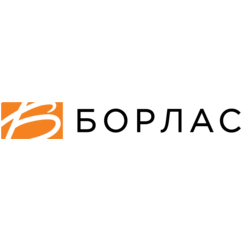 Борлас, Консалтинговая группа