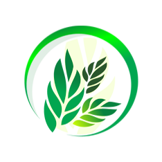 ЭкоРазвитие