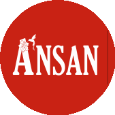 Ansan (ИП Дадашова Эльмира Явар)