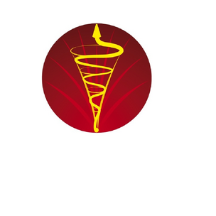 Бессмертие Жизни