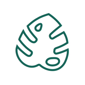 Студия озеленения PLANTACIA