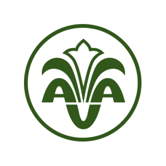 Вита-АВА