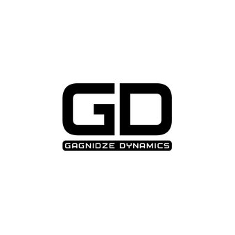 Gagnidze Dynamics
