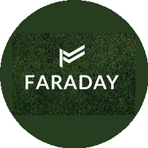 Группа компаний Фарадей