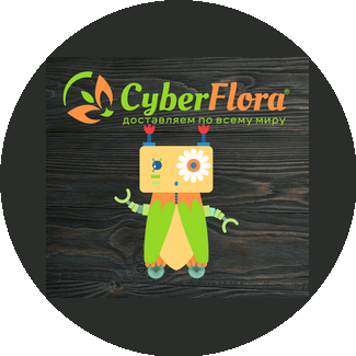 Кибер Флора