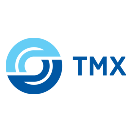 ТрансМашХолдинг, Группа компаний