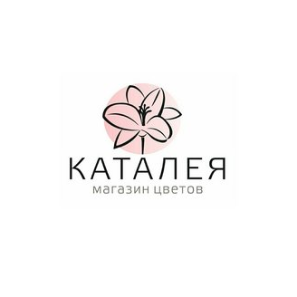 Магазин Каталея (ИП Рустамов Амид Абид Оглы)