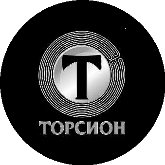 Торсион