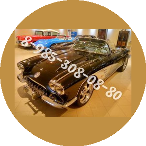 Степурко Ярослав Сергеевич