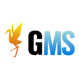 Global Maritime Solutions