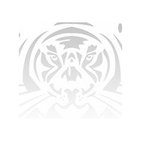 Тайгер Снаб