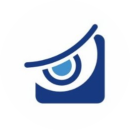 Виджио Групп