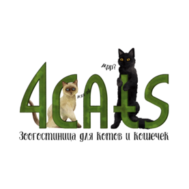 4Cats