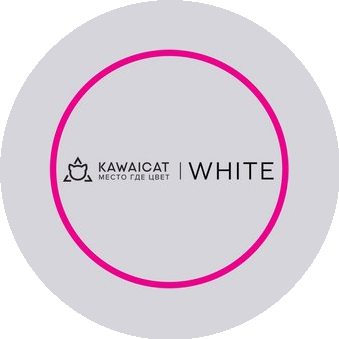 Kawaicat White