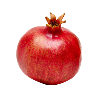 Завьялов Эдуард Павлович