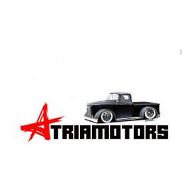 АтриаМоторс