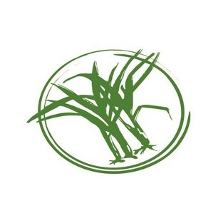 Lemongrass