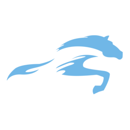 Арион-Центр Бизнес Услуг