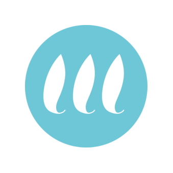 Ширкина Анастасия Витальевна