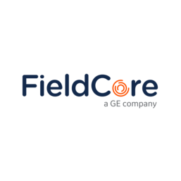 Field Core Services Solutions International LLC ( Филдкор Сервис Солюшенс Интернешнл ЭлЭлСи ФК в РК )