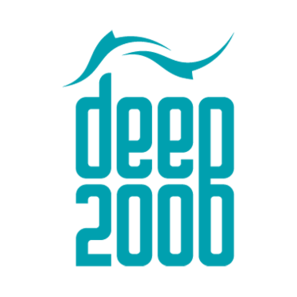 ДИИП 2000